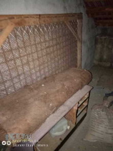 低价处理 优质棕床及家具电器，实惠便捷带回家