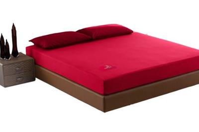 大自然棕垫 健康睡眠的理想选择