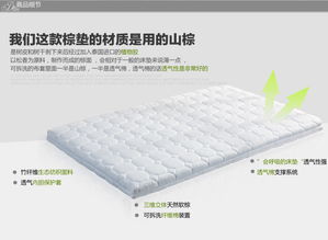 七彩人生青少年儿童专业软棕护脊床垫Q9 E02 价格、图片、参数全解析